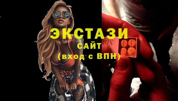 стаф Дмитровск