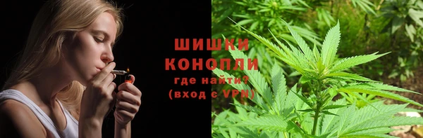 спайс Дмитриев