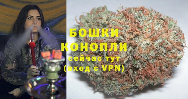 ГАЛЛЮЦИНОГЕННЫЕ ГРИБЫ Чекалин