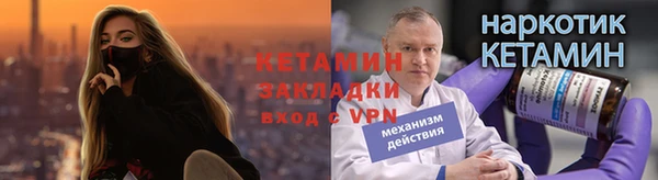 ГАЛЛЮЦИНОГЕННЫЕ ГРИБЫ Чекалин