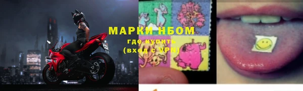 стаф Дмитровск