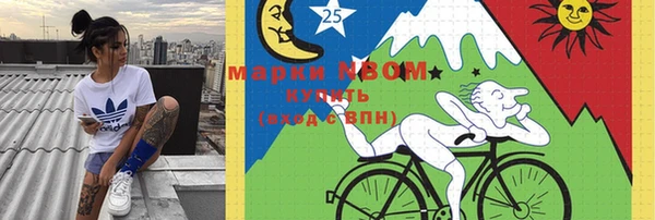 спайс Дмитриев